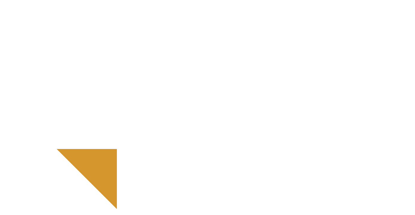 Concept Business Brava
